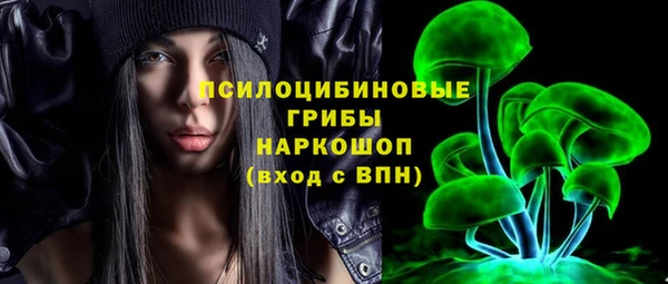твердый Алексеевка