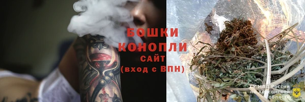 PSILOCYBIN Алзамай