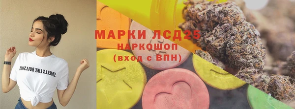 PSILOCYBIN Алзамай