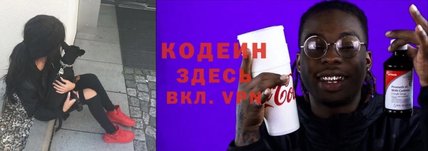 PSILOCYBIN Алзамай