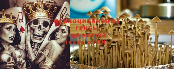PSILOCYBIN Алзамай