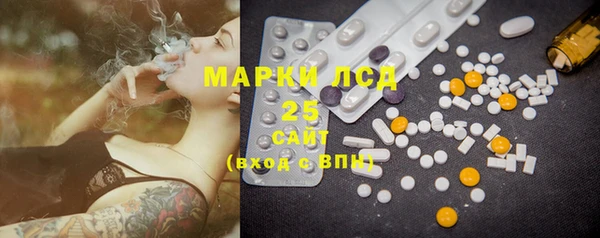 PSILOCYBIN Алзамай
